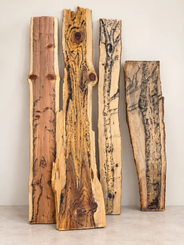 Four pieces of naturally edged wood with tree drawings and prominent knots